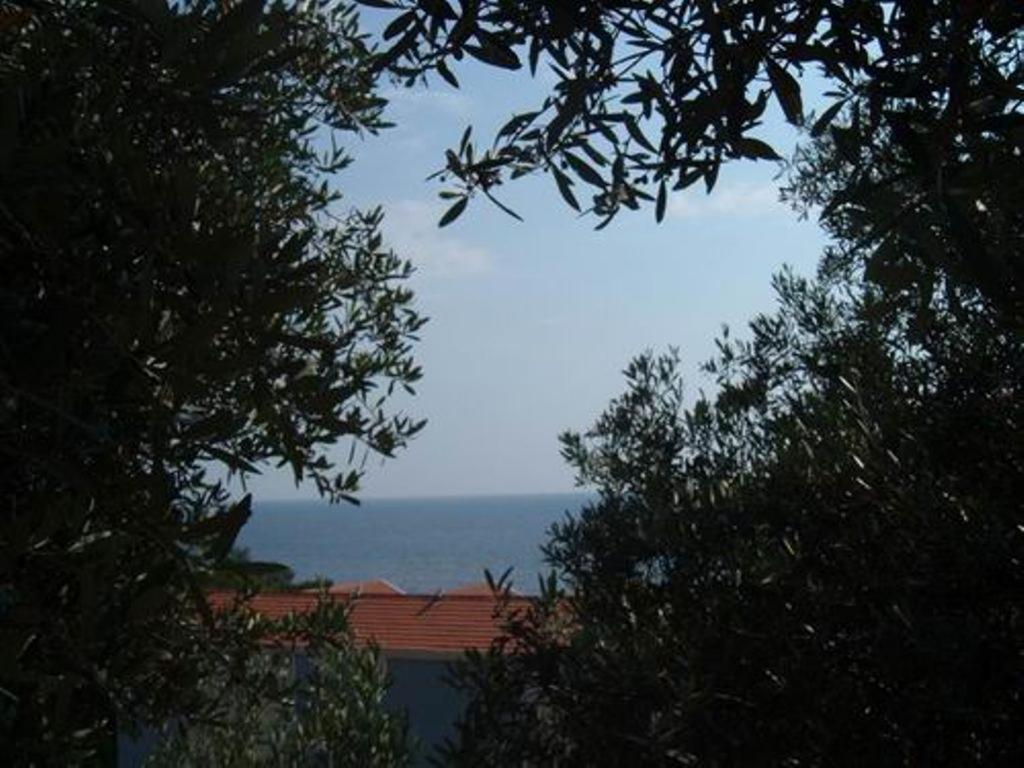 Apartments Maslina Sveti Stefan Exterior photo