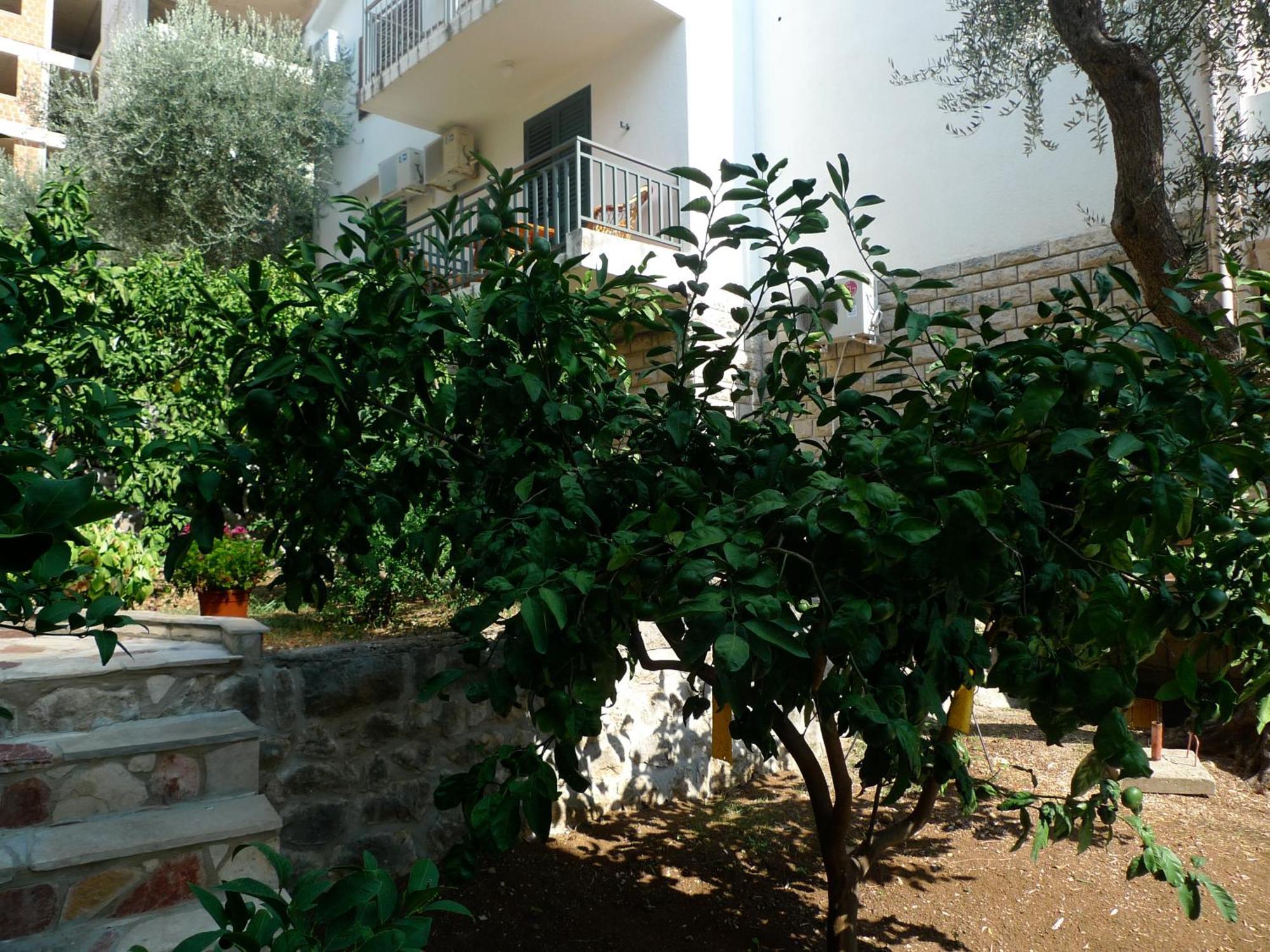 Apartments Maslina Sveti Stefan Exterior photo